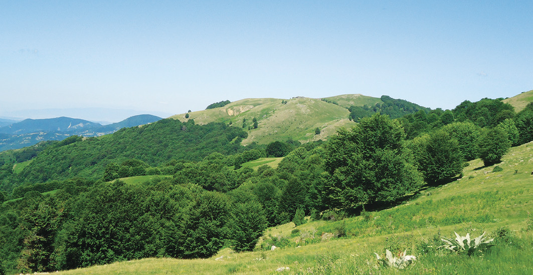 Природа Македонии