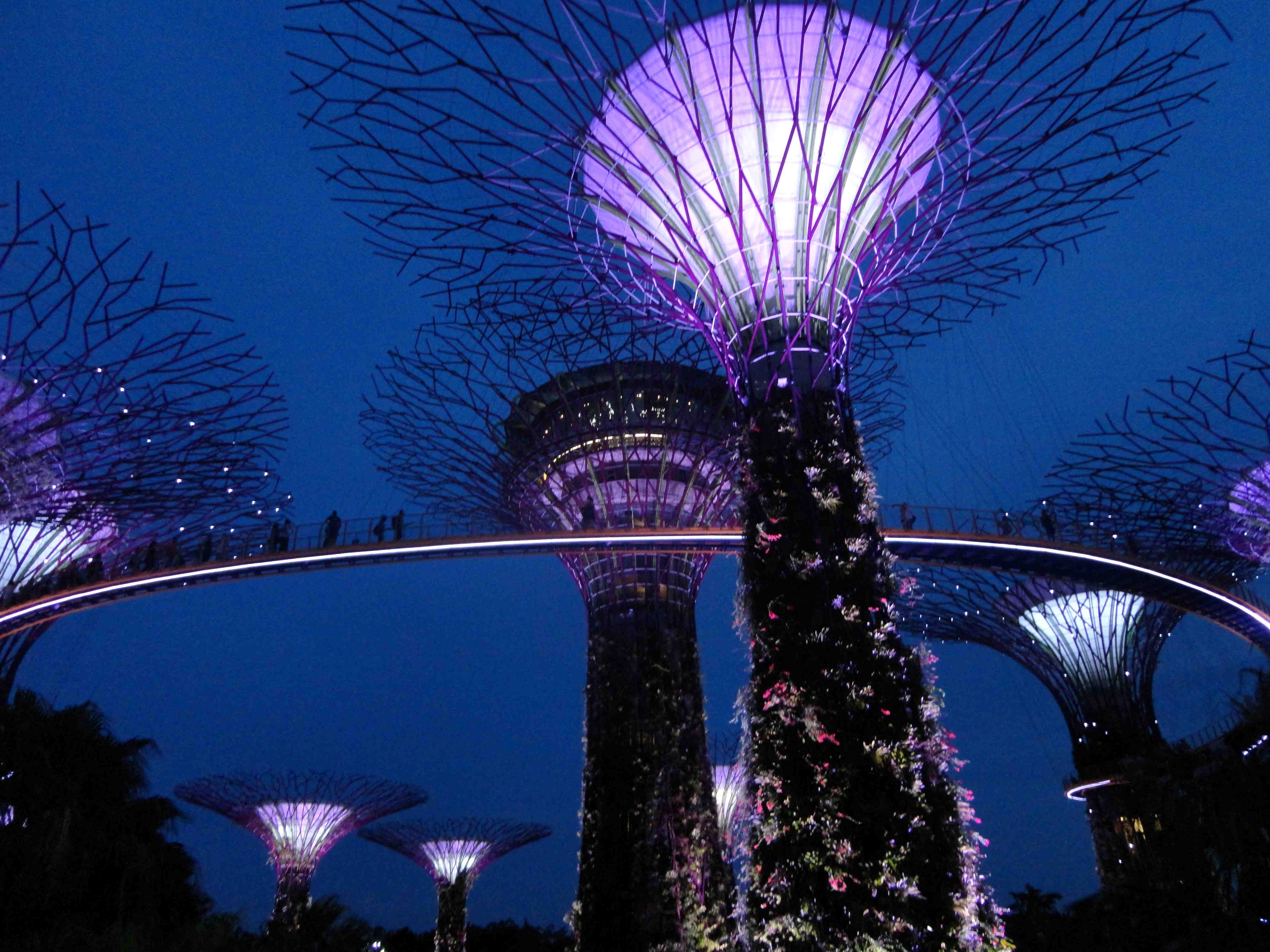 Трансфер в будущее